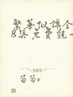 繁华似锦全集第8集免费观看
