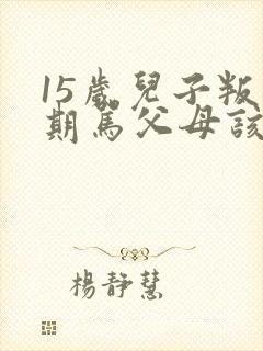 15岁儿子叛逆期骂父母该怎么办