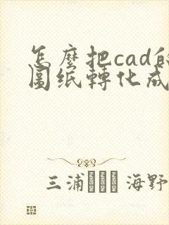 怎么把cad的图纸转化成pdf格式
