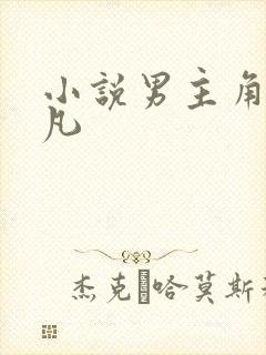 小说男主角叫林凡