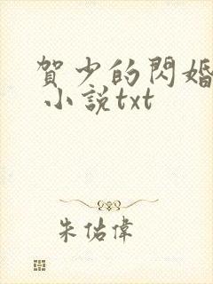 贺少的闪婚暖妻 小说txt