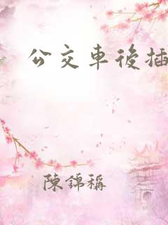 公交车后插入