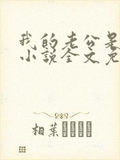 我的老公是大佬小说全文免费阅读