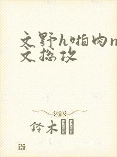 文野h啪肉np文总攻