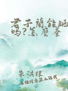 君子兰能晒太阳吗?怎么养