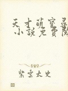 天才萌宝寻爹记 小说免费阅读