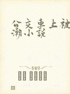 公交车上被摸高潮小说