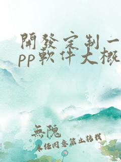 开发定制一个app软件大概多少钱