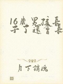 16岁男孩长胡子了还会长高吗