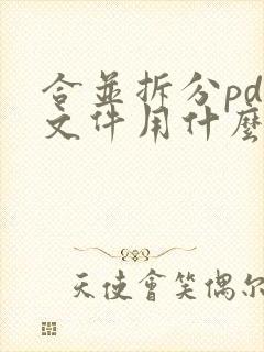 合并拆分pdf文件用什么软件