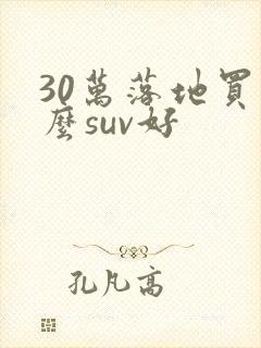 30万落地买什么suv好