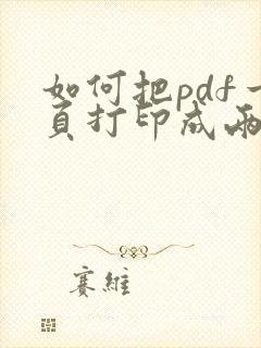 如何把pdf一页打印成两页
