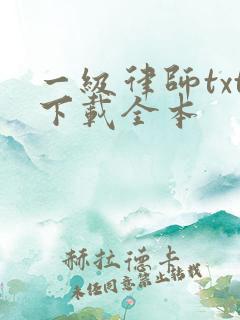 一级律师txt下载全本