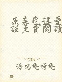 原来我很爱你小说免费阅读