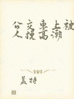 公交车上被陌生人摸高潮