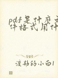 pdf是什么文件格式用什么软件打开