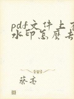 pdf文件上有水印怎么去除