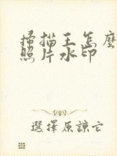 扫描王怎么去除照片水印
