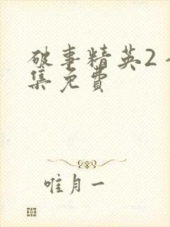 破事精英2 全集免费