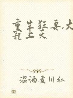 重生狂妻,大佬宠上天