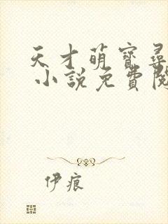 天才萌宝寻爹记 小说免费阅读