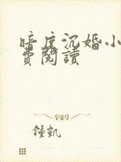 暗度沉婚小说免费阅读