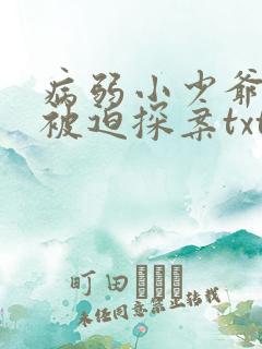 病弱小少爷又在被迫探案txt下载