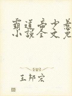 霸道帝少惹不得小说全文免费阅读