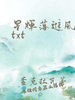 星辉落进风沙里txt
