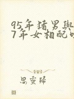 95年猪男与97年女相配吗