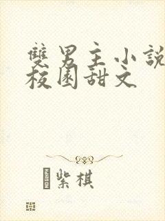 双男主小说推荐校园甜文