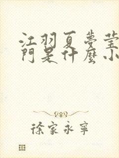 江羽夏梦莹神谕门是什么小说