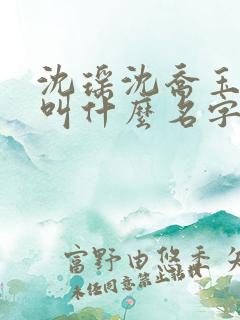 沈瑶沈乔玉小说叫什么名字