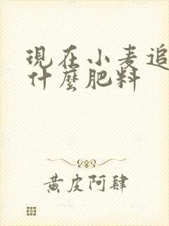 现在小麦追肥用什么肥料