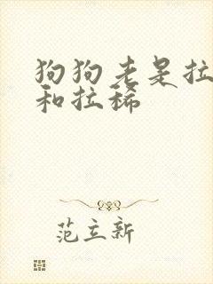狗狗老是拉软便和拉稀