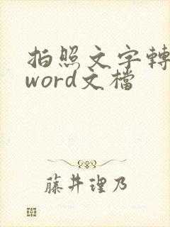 拍照文字转换成word文档