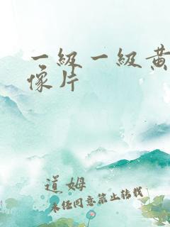 一级一级黄色录像片