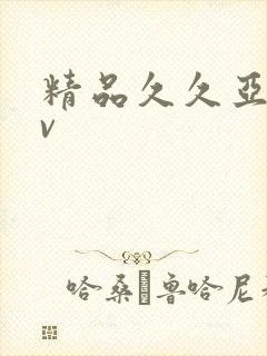 精品久久亚洲av