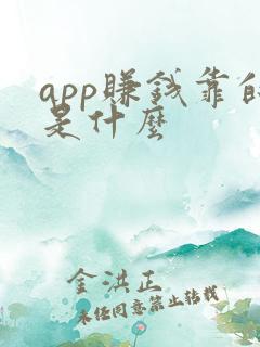 app赚钱靠的是什么