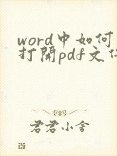 word中如何打开pdf文件
