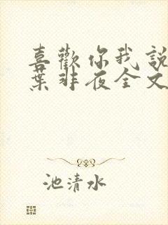 喜欢你我说了算叶非夜全文免费阅读