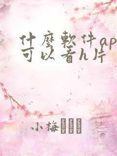 什么软件app可以看h片