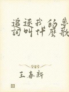 追逐我的梦想歌词叫什么歌
