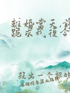 离婚当天,前夫跪求我复合全集