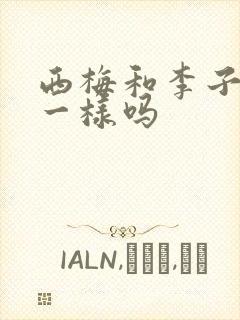 西梅和李子的核一样吗