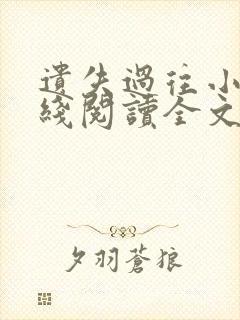 遗失过往小说在线阅读全文无弹窗
