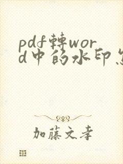 pdf转word中的水印怎么去除