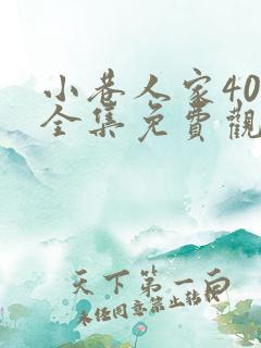 小巷人家40集全集免费观看
