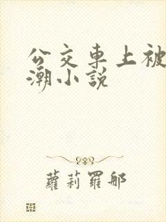 公交车上被摸高潮小说