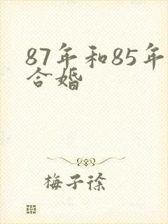 87年和85年合婚
